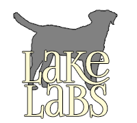 Lake Labs