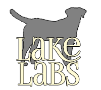 Lake Labs